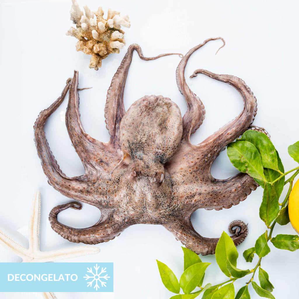 50pz Gonne Calamari Da Pesca 4,75" Polpo 12cm Esche Morbide - Foto 7